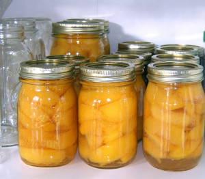 disaster preparation