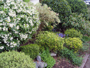 home maintenance Georgia