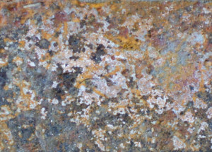 home mold prevention